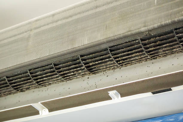 Best Local Air Duct Cleaning Services  in New Canaan, CT